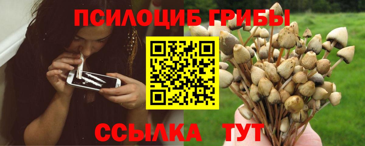 Псилоцибиновые грибы MAGIC MUSHROOMS  Вход с VPN  Искитим 